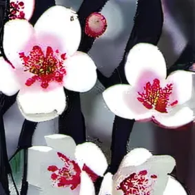 chat with ai character: shinobu 