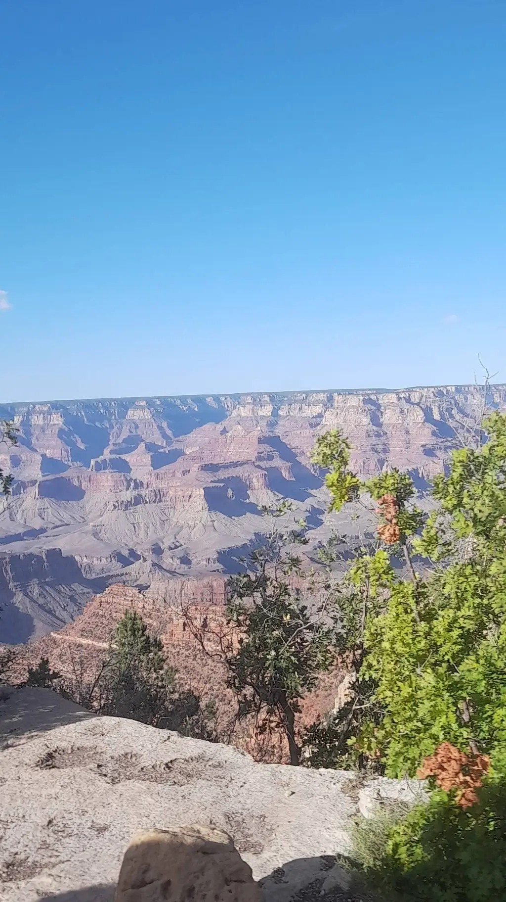 ai character: just talk background