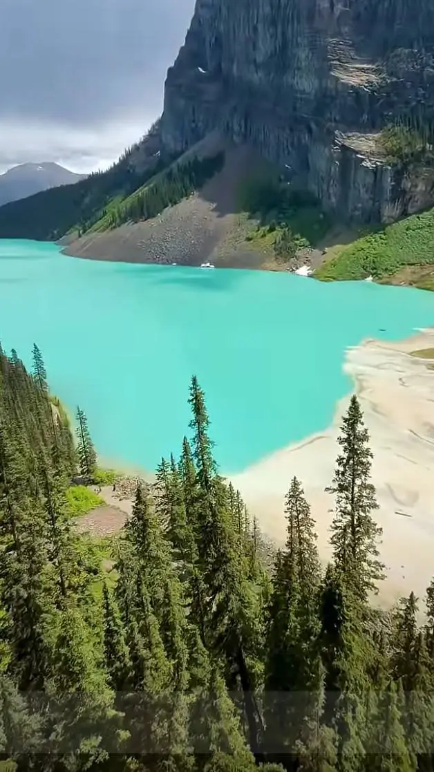 ai character: DW,planes meet Y/N background