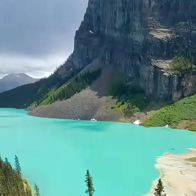 chat with ai character: DW,planes meet Y/N