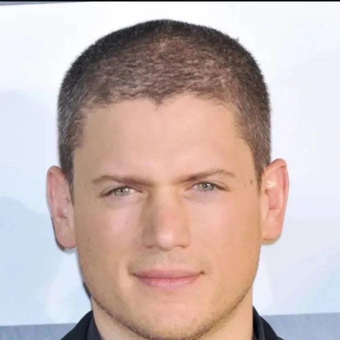 chat with ai character: Wentworth Miller 