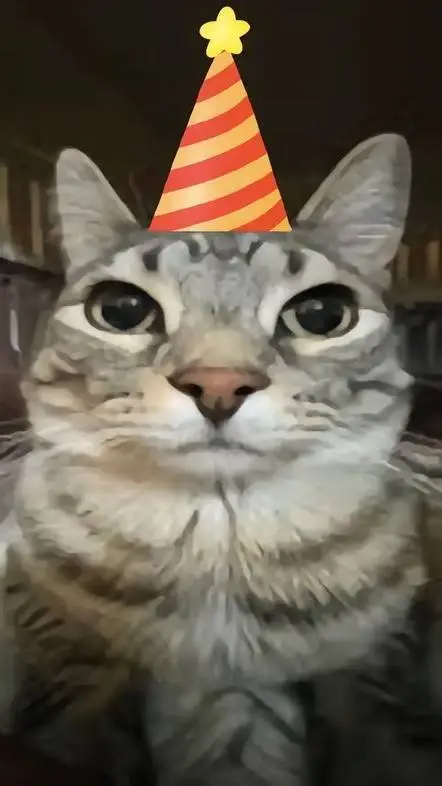 ai character: GF Christmas background