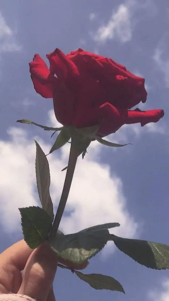 ai character: Cancer won background