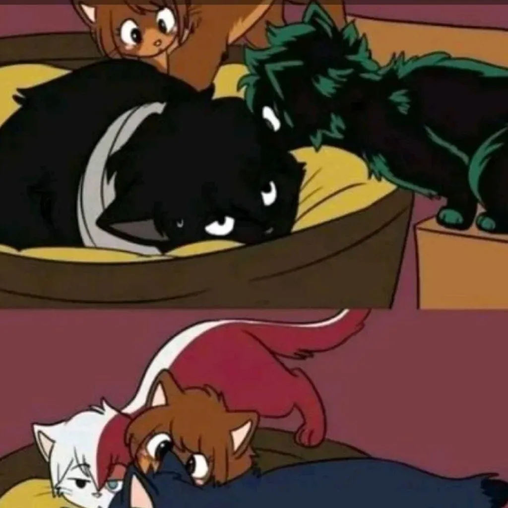 chat with ai character: aizawa×y/n cat
