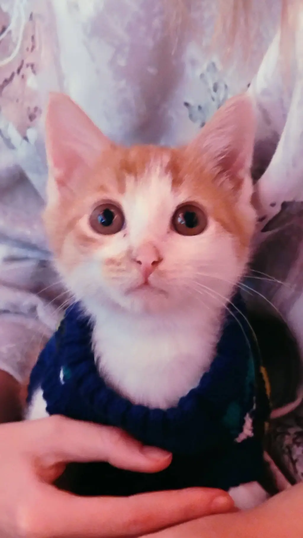 ai character: sam and Colby  background