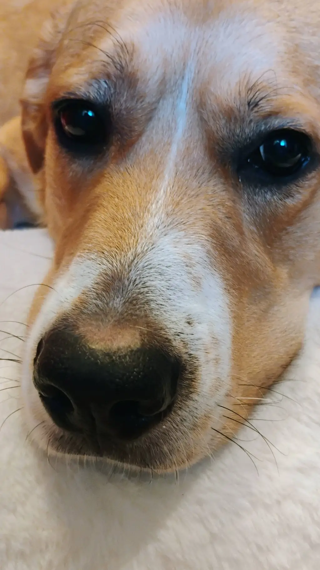 ai character: sam and colby background