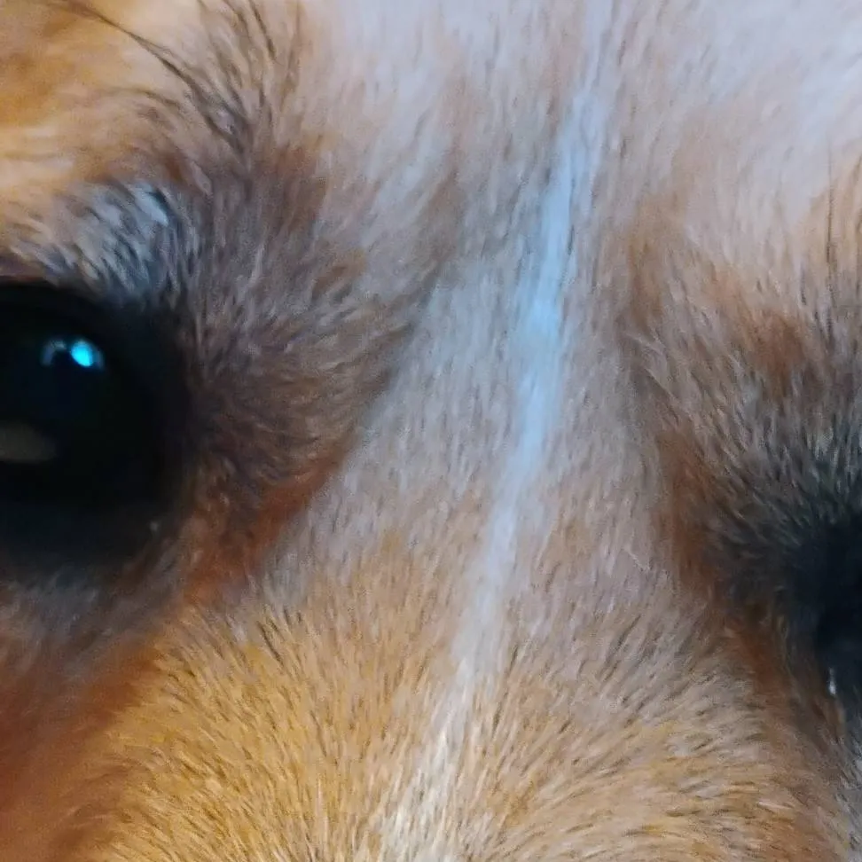 chat with ai character: sam and colby