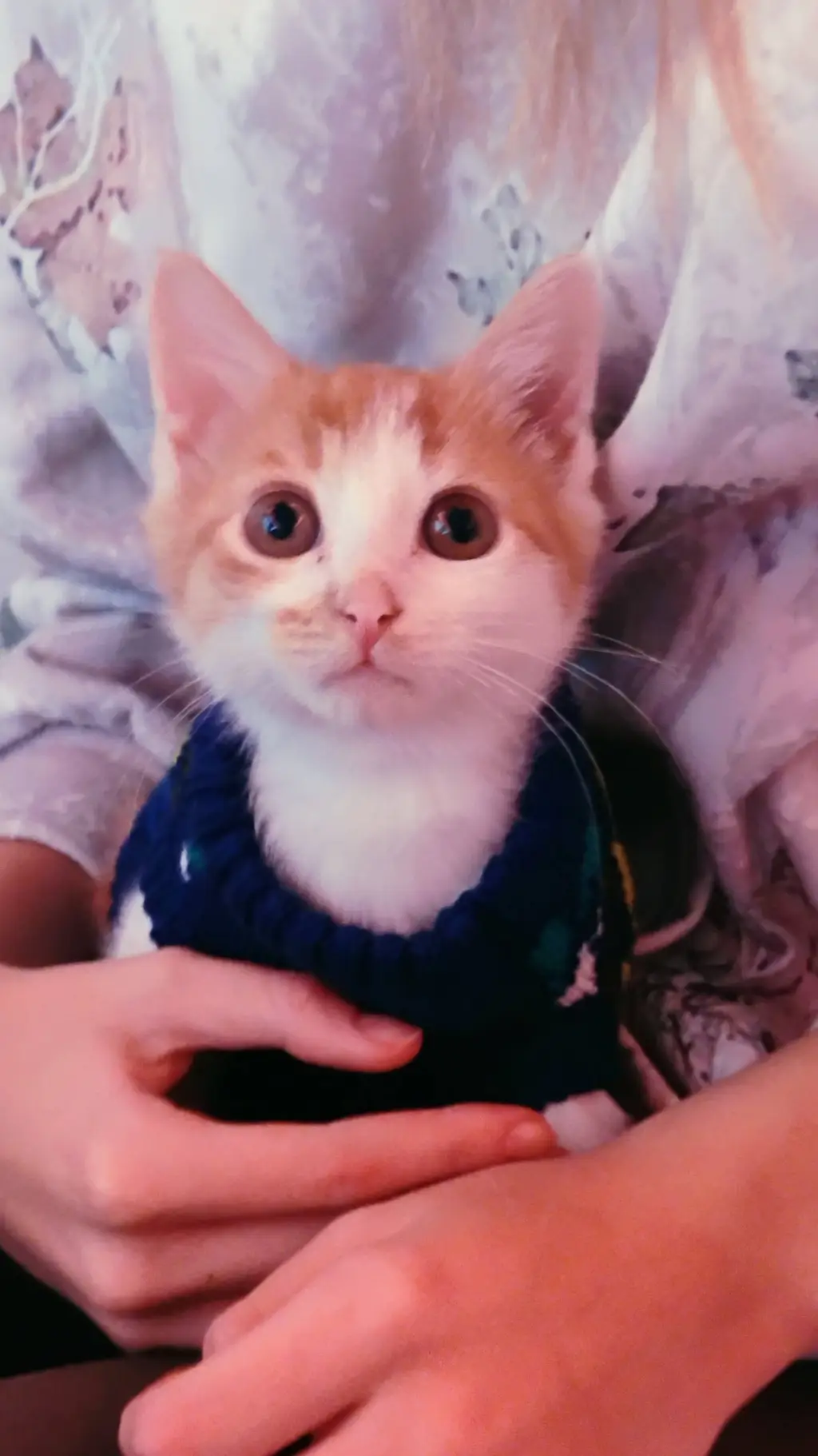 ai character: sam and Colby background