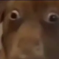 chat with ai character: Kean cheated on yu