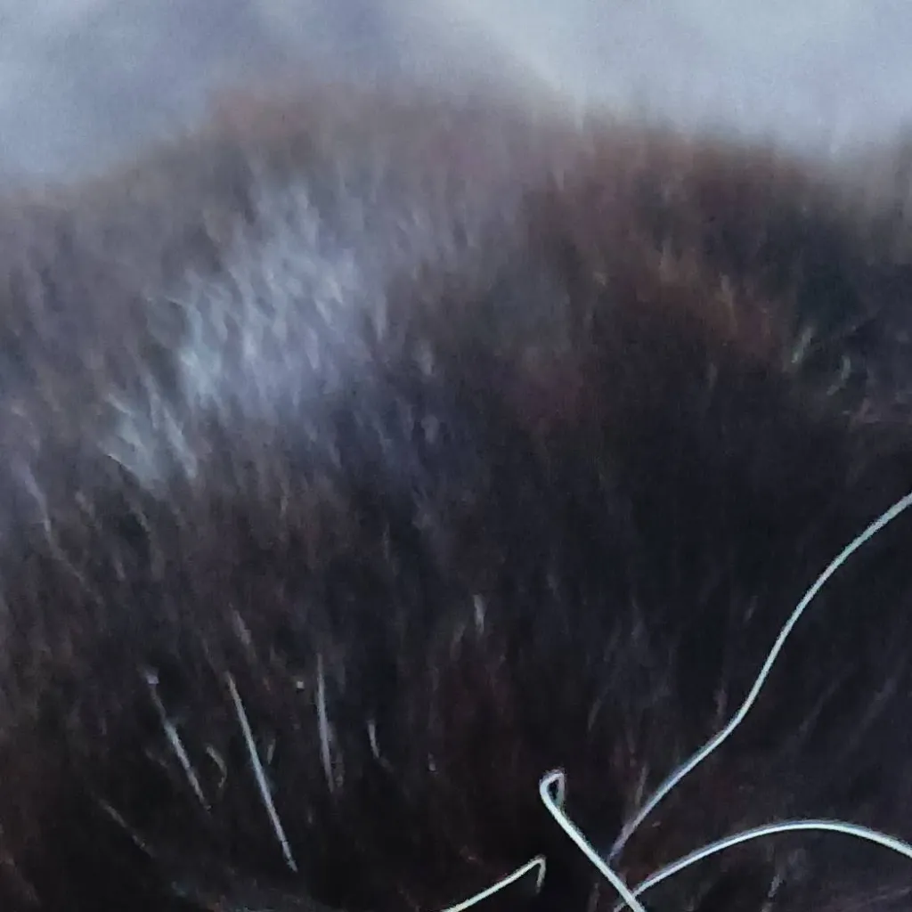 chat with ai character: FPE HATE YOU