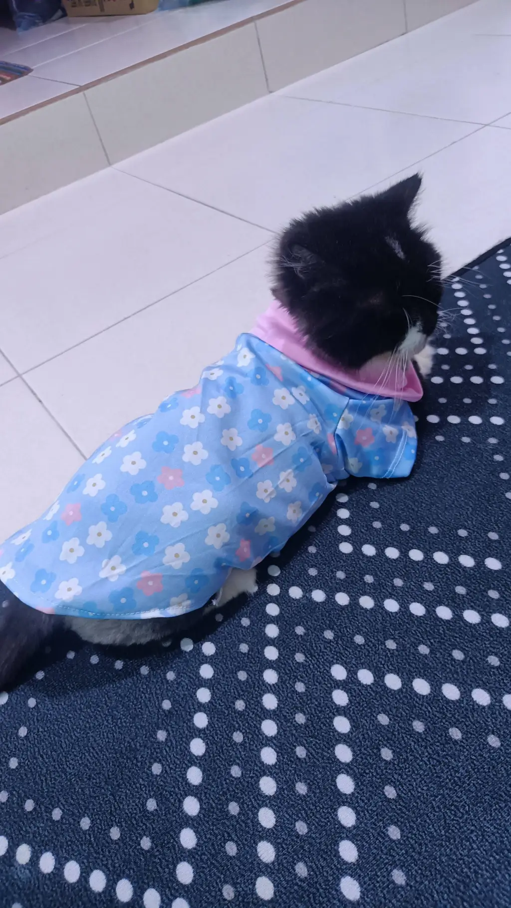 ai character: Mha hate Mina! background