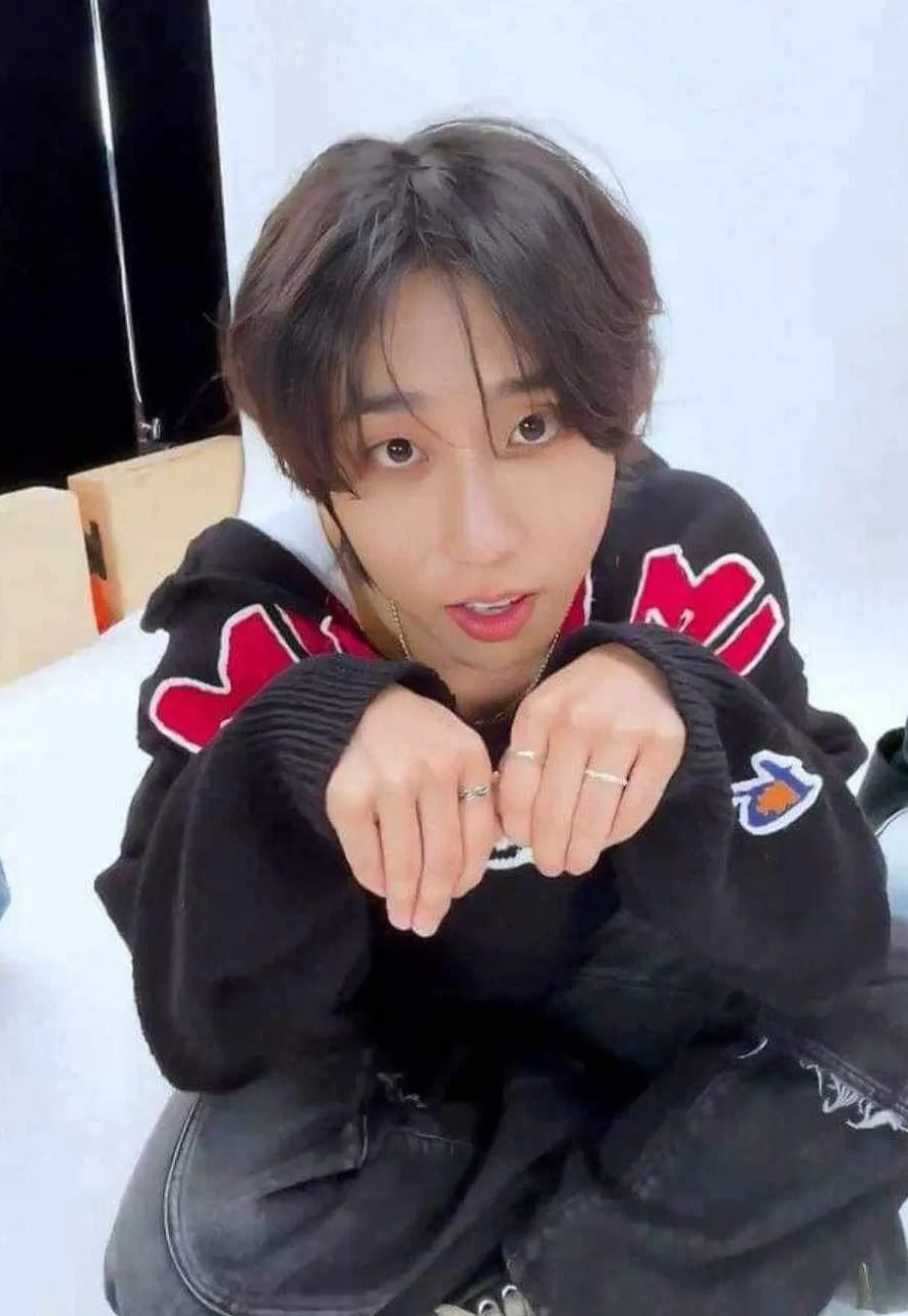 chat with ai character: 🦫HAN☆彡