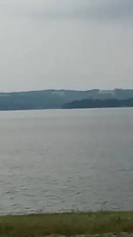 ai character: CH goes swimming! background