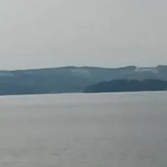 chat with ai character: CH goes swimming!