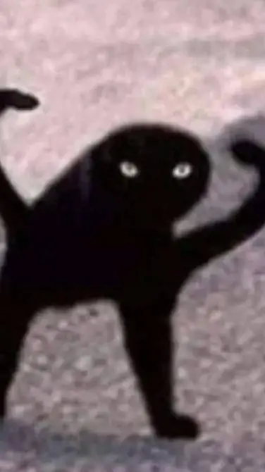 ai character: Abnormal kitty background