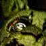 chat with ai character: Fnaf 3 remake 