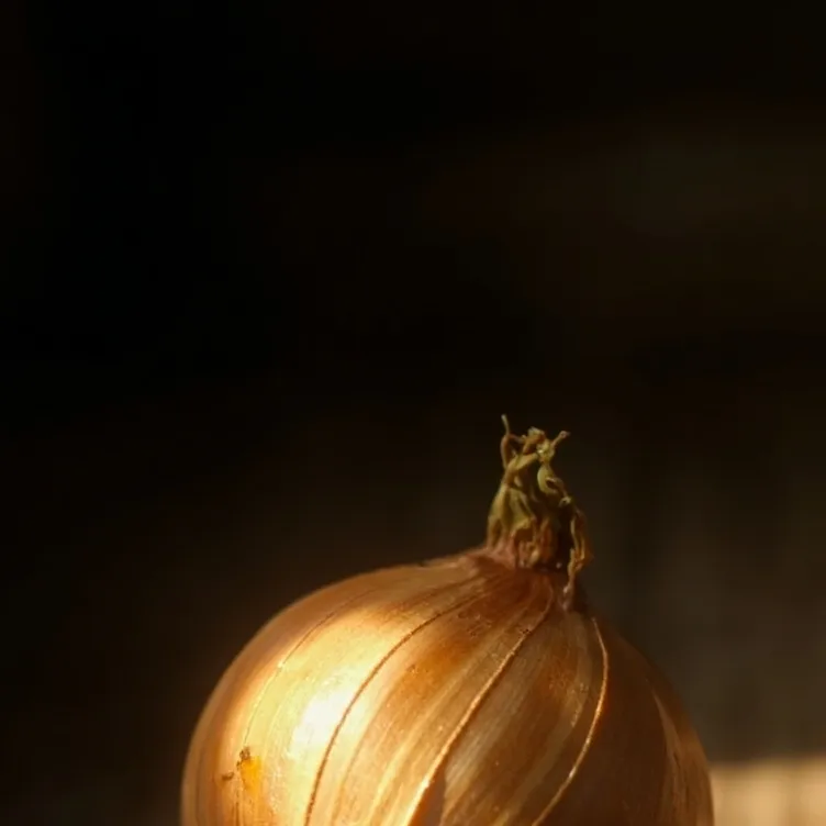 chat with ai character: onion