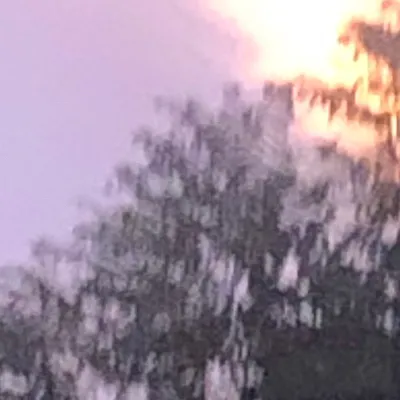 chat with ai character: ~ANCIENT~