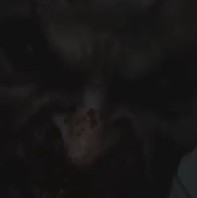 chat with ai character: VŒŁÆÞỊłŁƎ