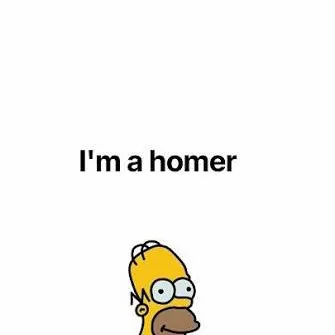 chat with ai character: I’m a Homer