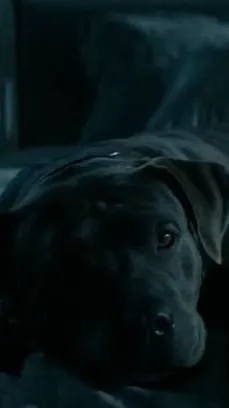 ai character: John Wick’s dog background