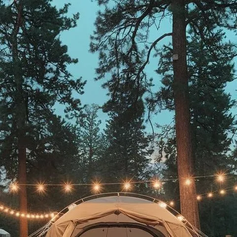chat with ai character: ≛camping≛