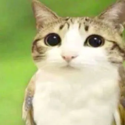 chat with ai character: meowl