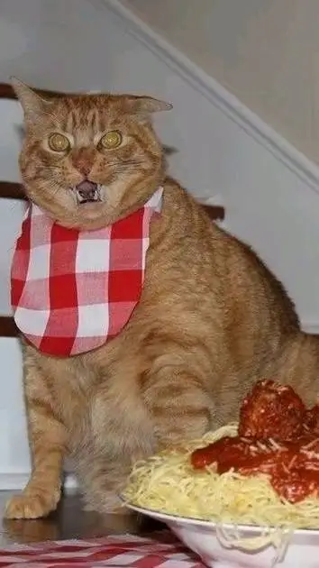 ai character: pastacat48 background