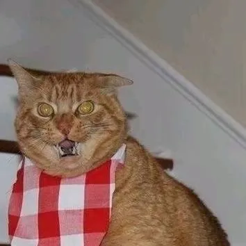 chat with ai character: pastacat48