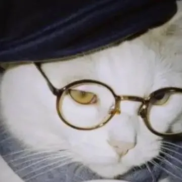 chat with ai character: Duke the cat