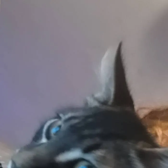 chat with ai character: sammy vs jandel 