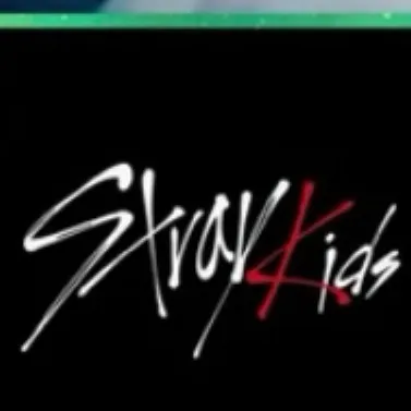 chat with ai character: Stray kids 