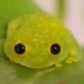 chat with ai character: a cute little frog
