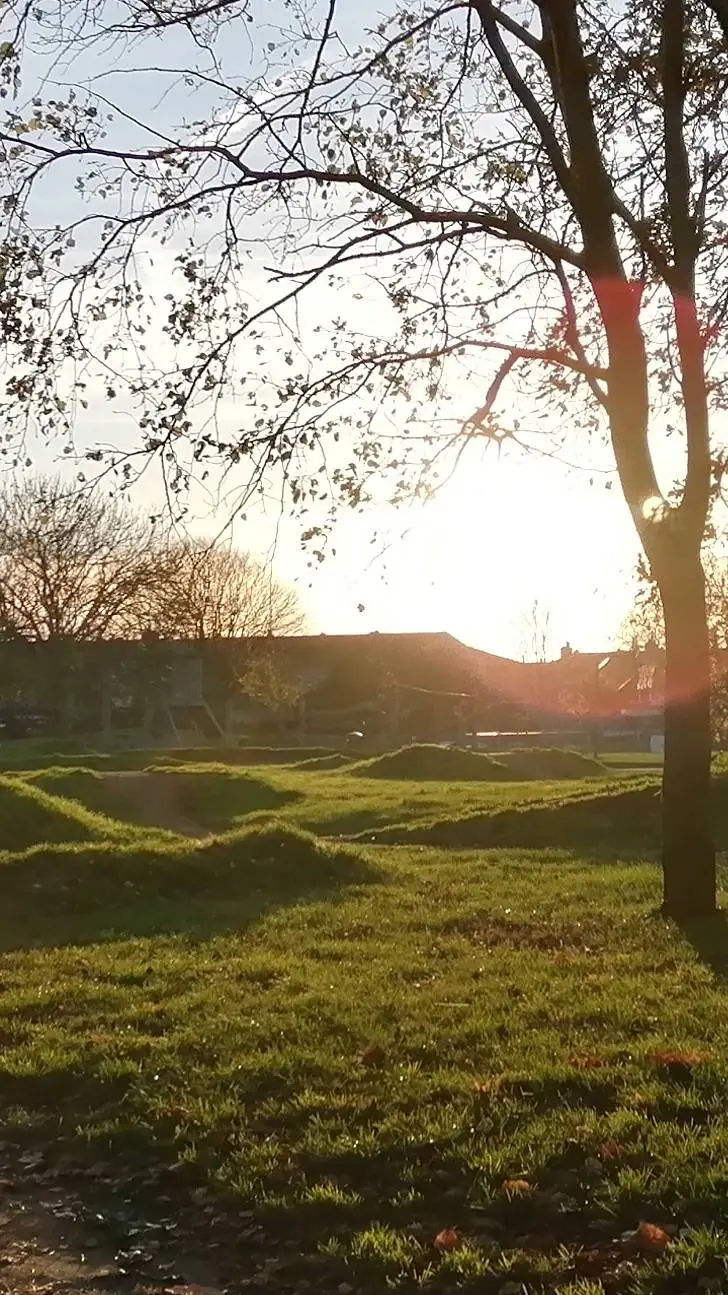 ai character: private  background