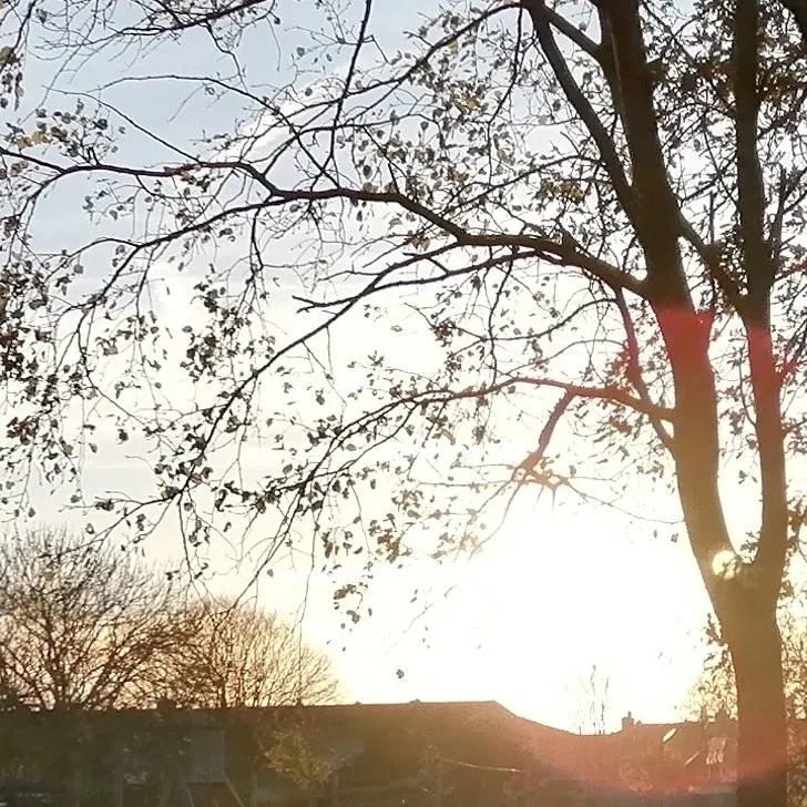 chat with ai character: private 