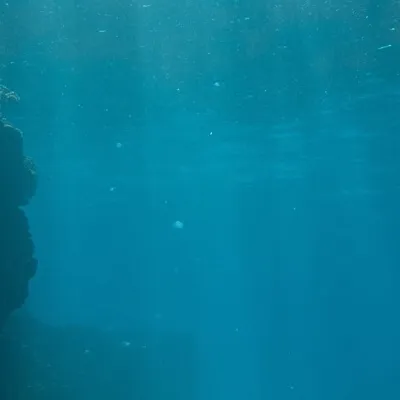 chat with ai character: Talkieq6hOG7