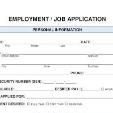 chat with ai character: JOB APPLICATION
