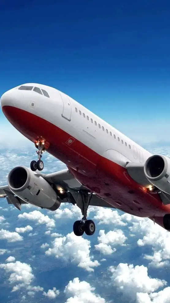 ai character: DW Plane Trip! background