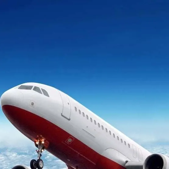 chat with ai character: DW Plane Trip!