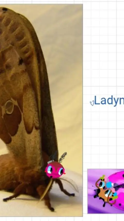 ai character: animal shelter dw background
