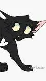 ai character: 🐱Ravenpaw🐱 background