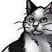 chat with ai character: bad owner