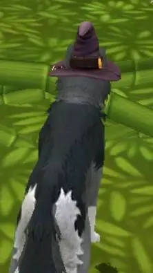 ai character: me in wildcraft!  background