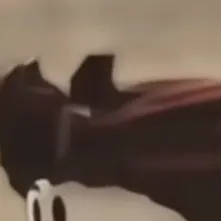 chat with ai character: HAIRYTWINKLE