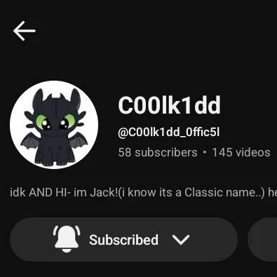 chat with ai character: C00lk1dd_0ffic5l!