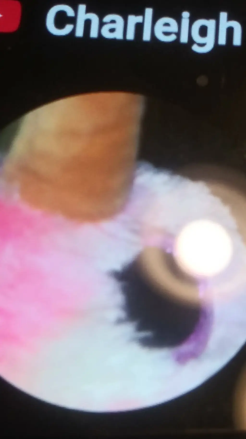 ai character: ohthatscharleigh background