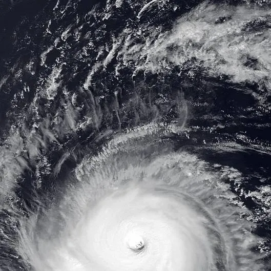 chat with ai character: Hurricane Gabriell