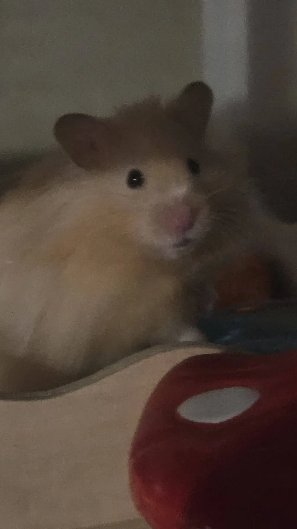 Talkie AI - Chat with Taters