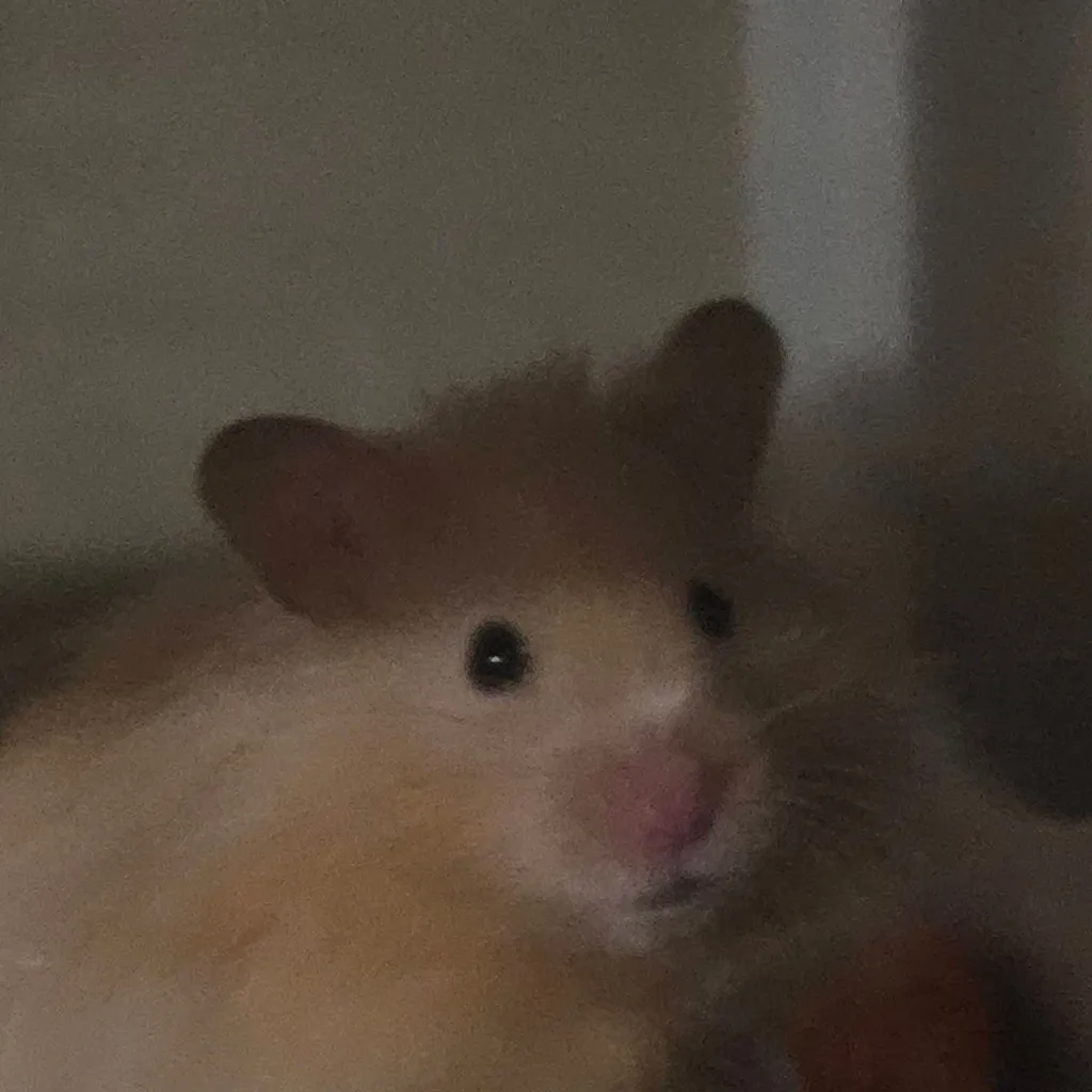 chat with ai character: Taters