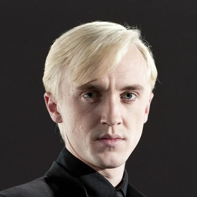 chat with ai character: Draco Malfoy